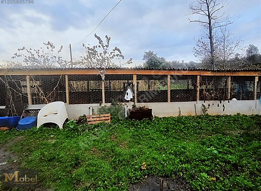 MABEL GAYRİMENKUL KEŞ KÖY KAVAKLAR MEVKISI ARSA İÇİNDE GÜZEL E